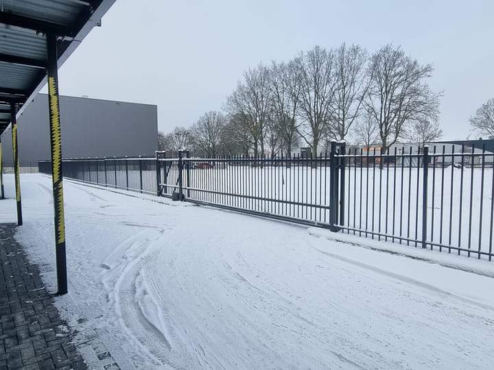 Afbeelding 8 van 11