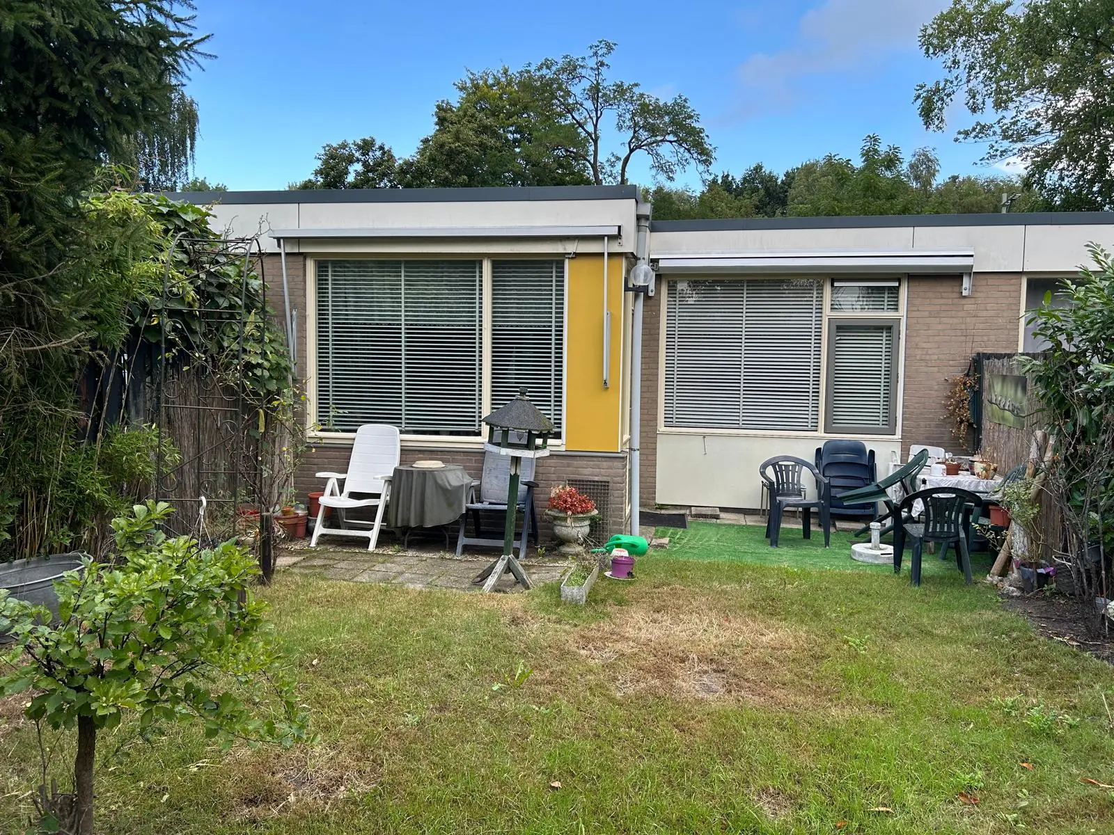 Image 5 of 6