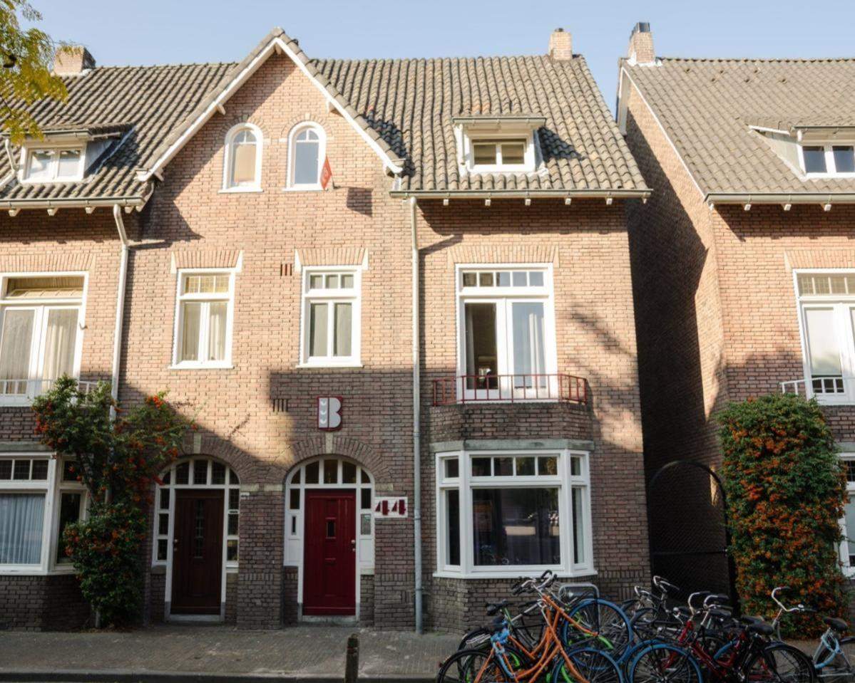 Afbeelding 3 van 8