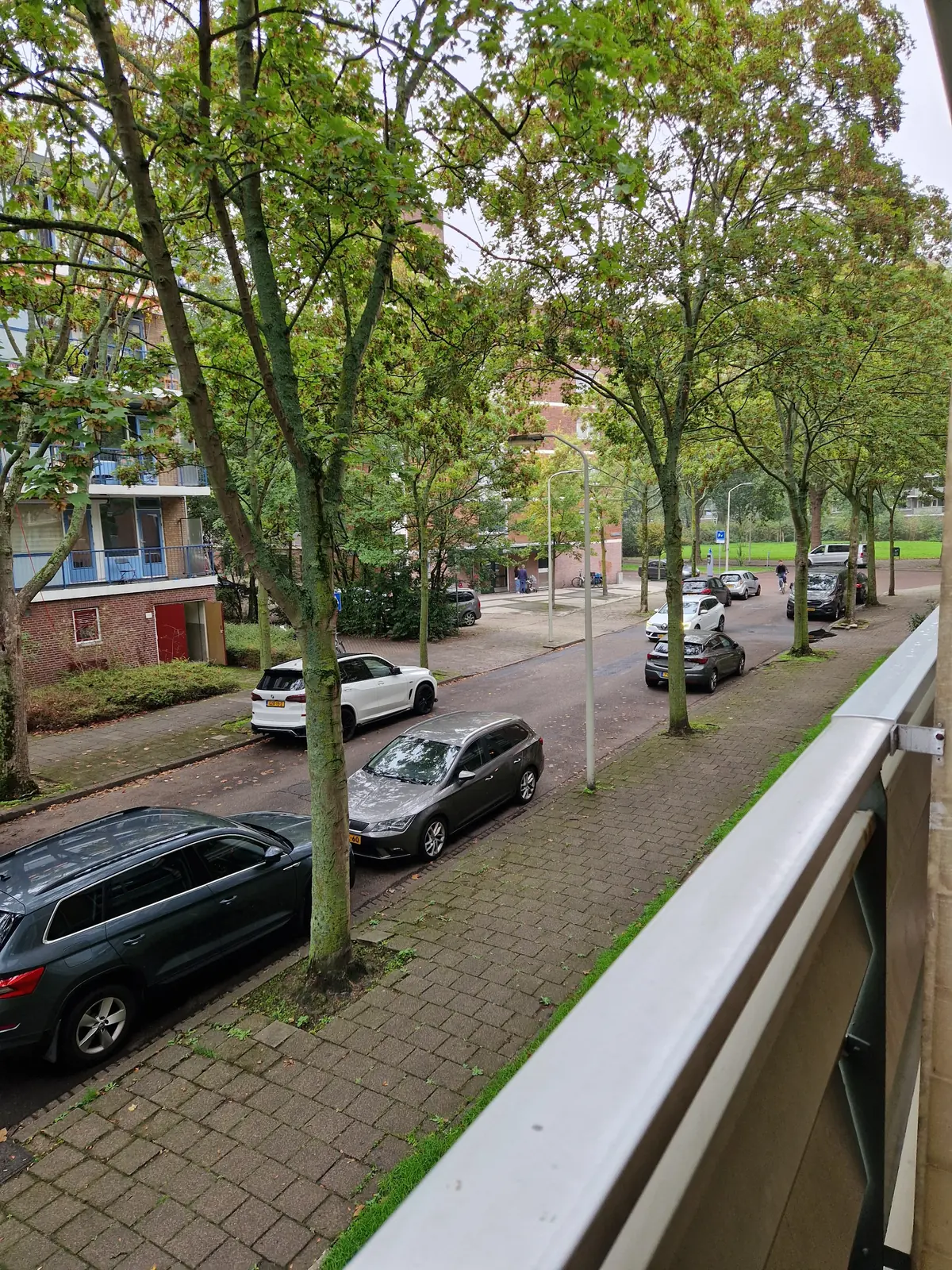Bild 6 von 13