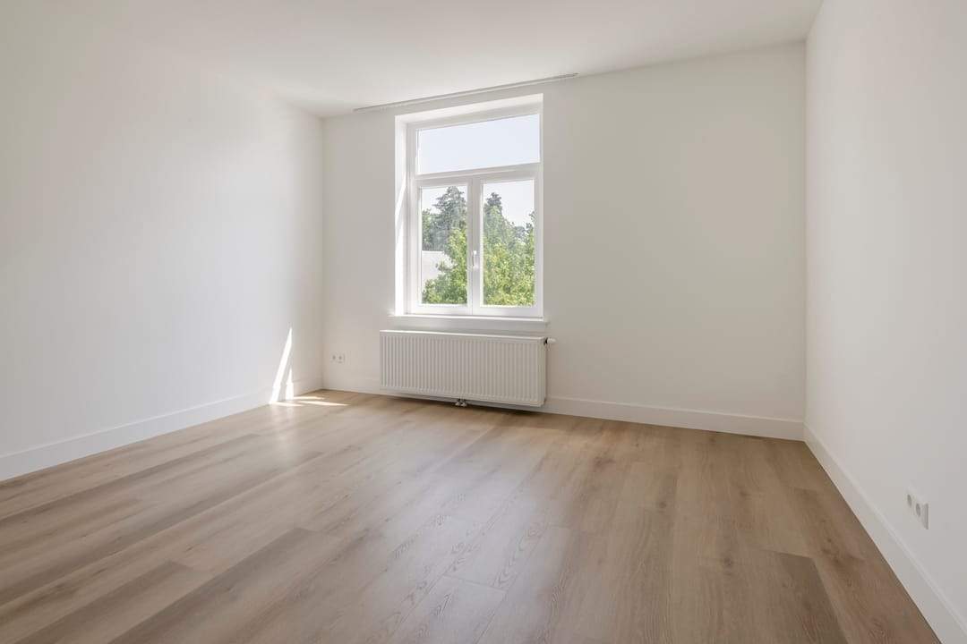 Bild 38 von 50
