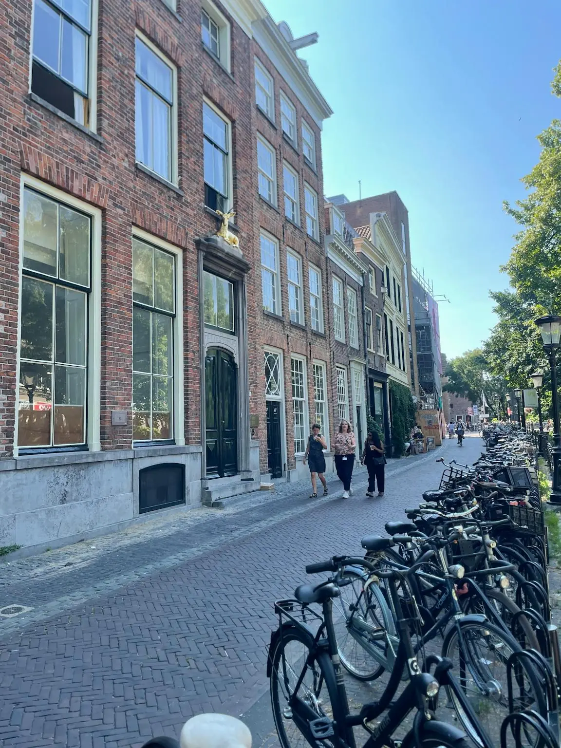 Afbeelding 12 van 28