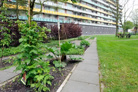 Appartement Dirk Costerplein 247, Delft - À Louer
