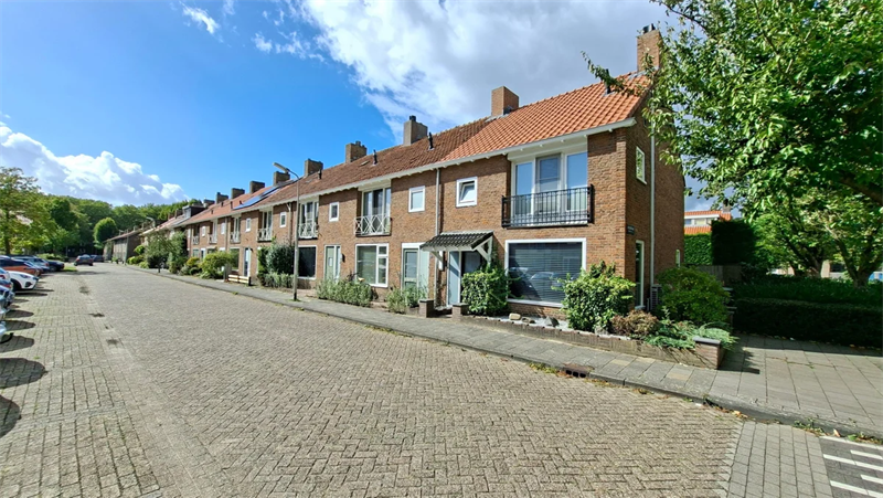Afbeelding 3 van 16