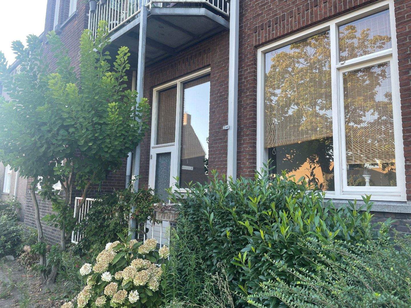 Afbeelding 1 van 12