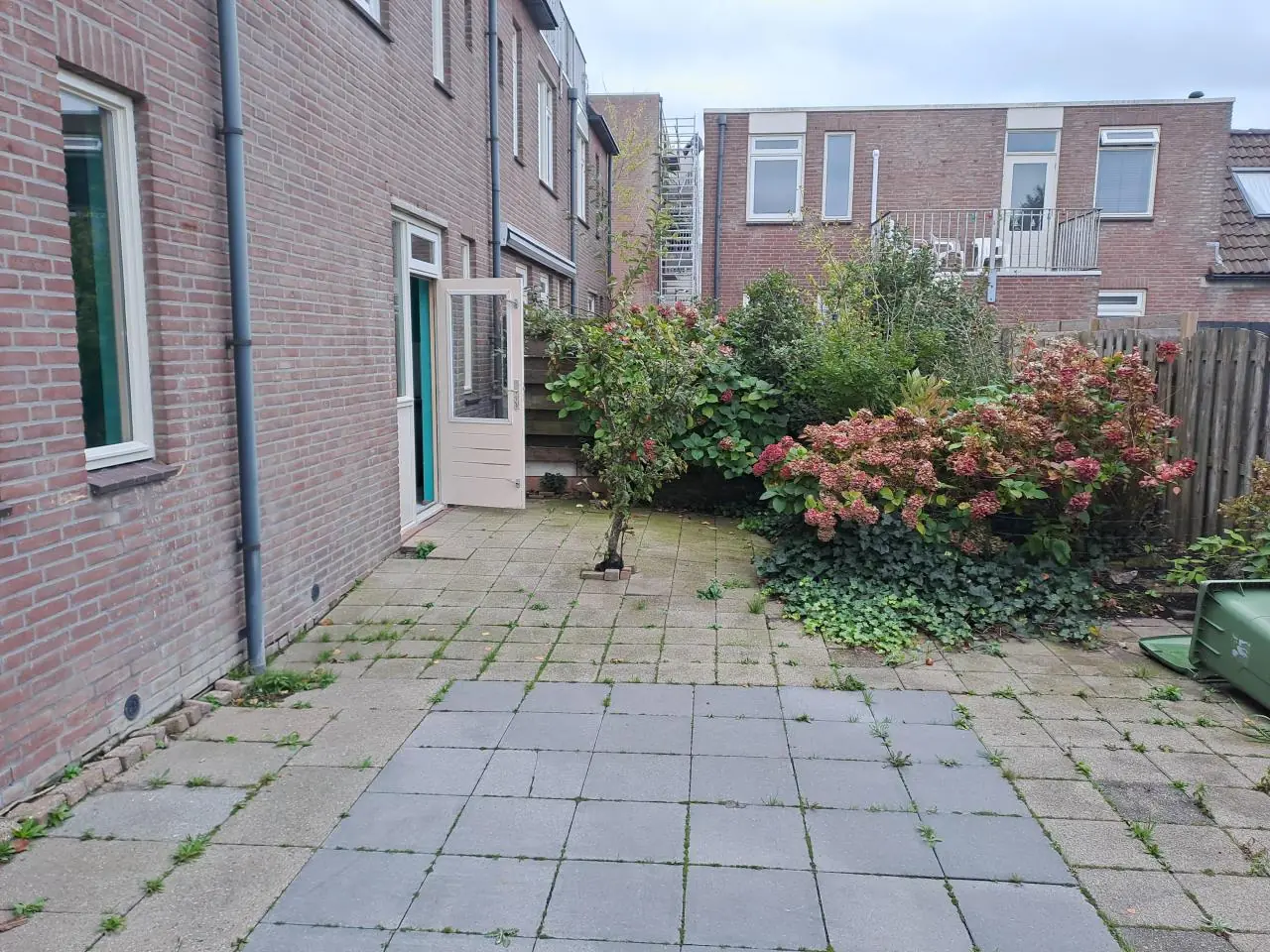 Image 4 of 9