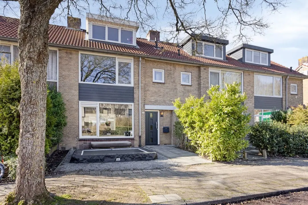 Afbeelding 1 van 47