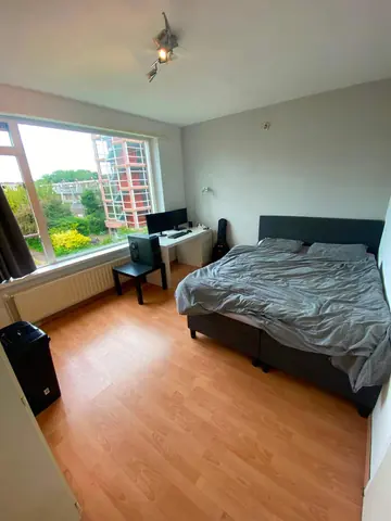 Chambre Plutolaan, Groningue - À louer