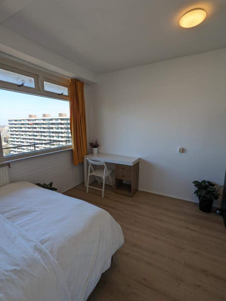 Bild 3 von 8