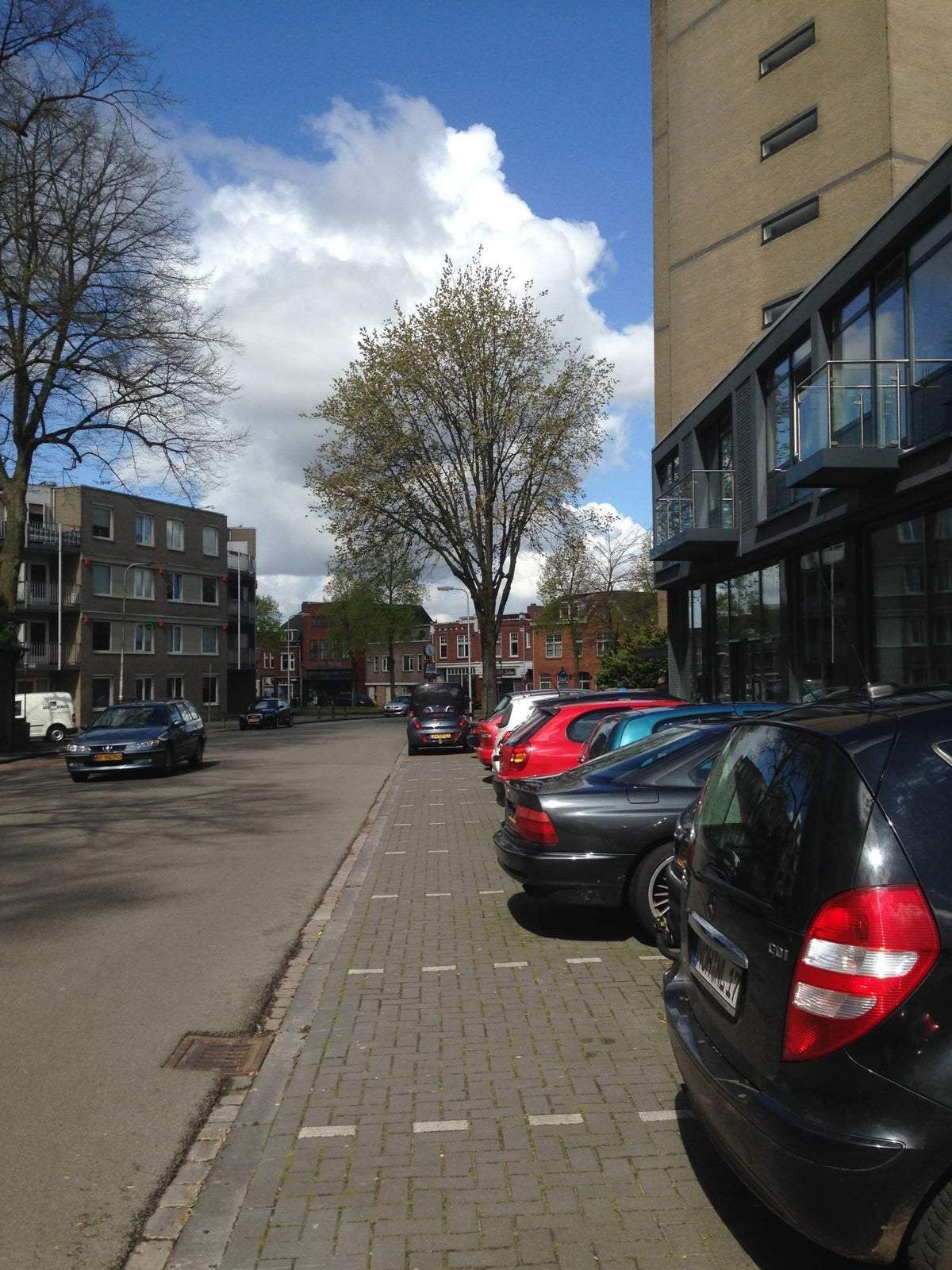 Afbeelding 3 van 12
