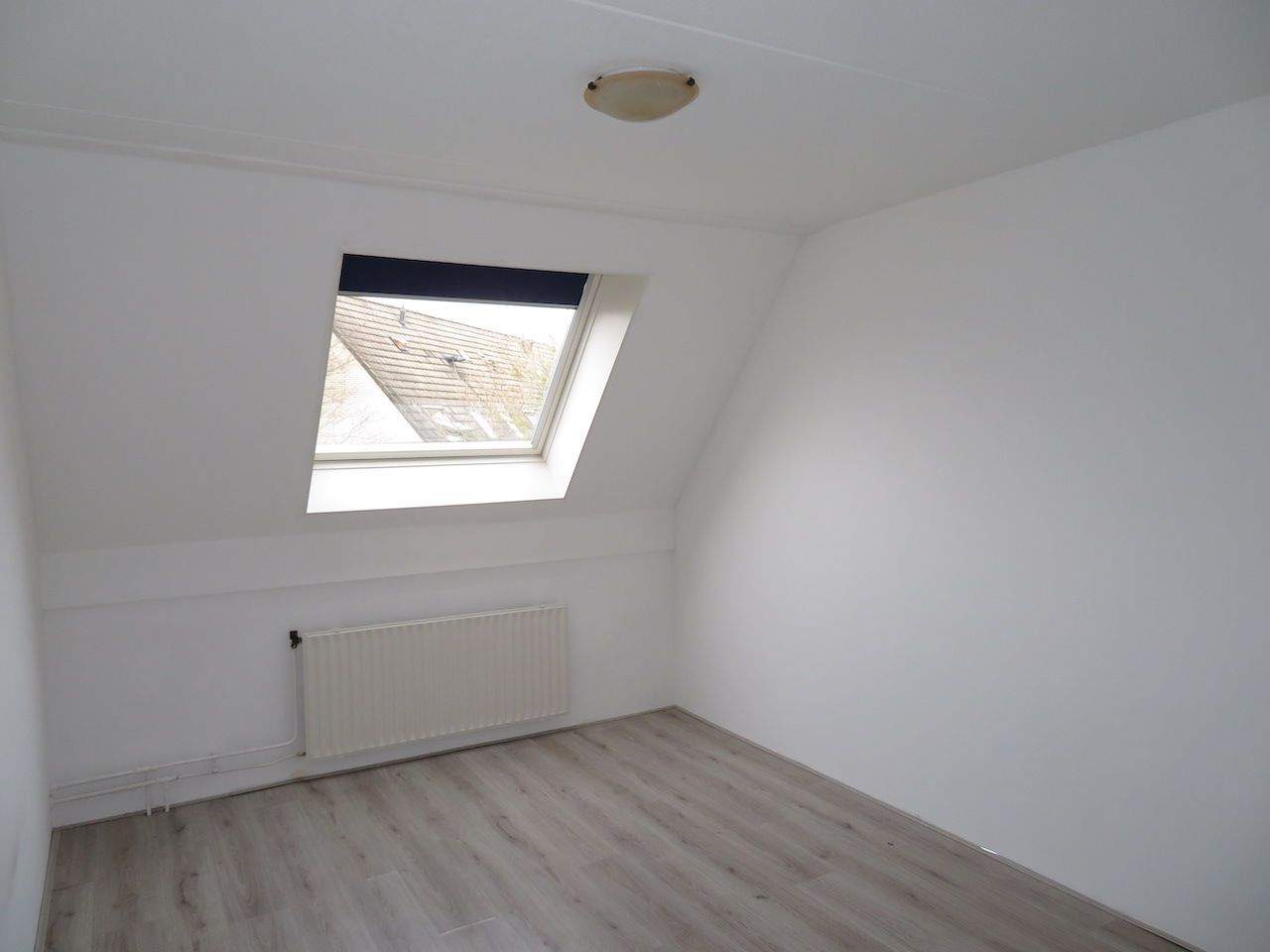 Bild 5 von 16