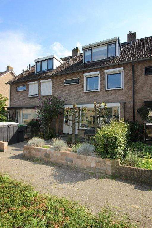 Bild 1 von 56