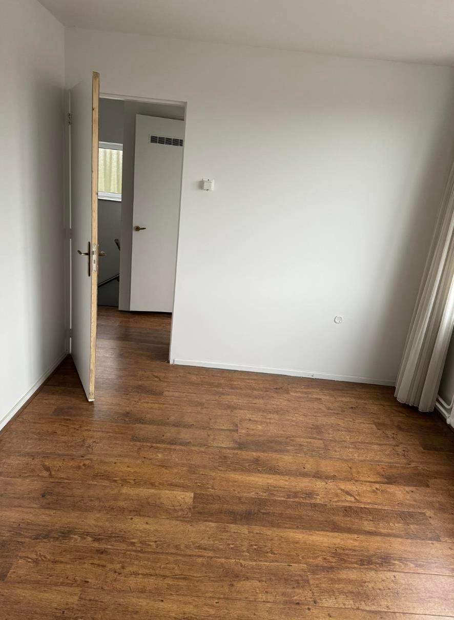 Bild 3 von 8