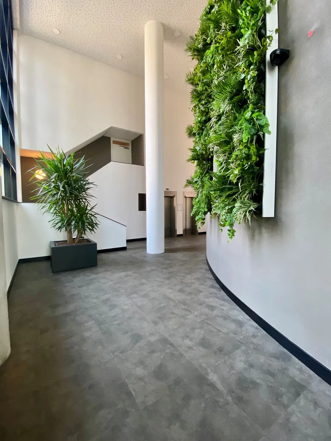 Image 2 of 38