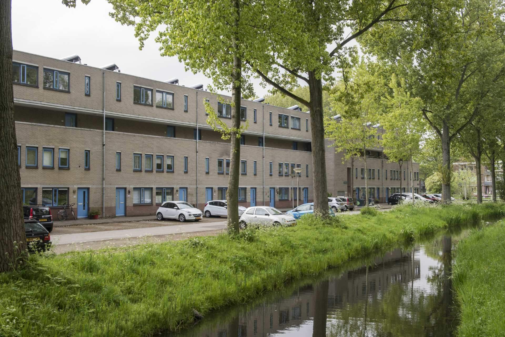 Afbeelding 2 van 10