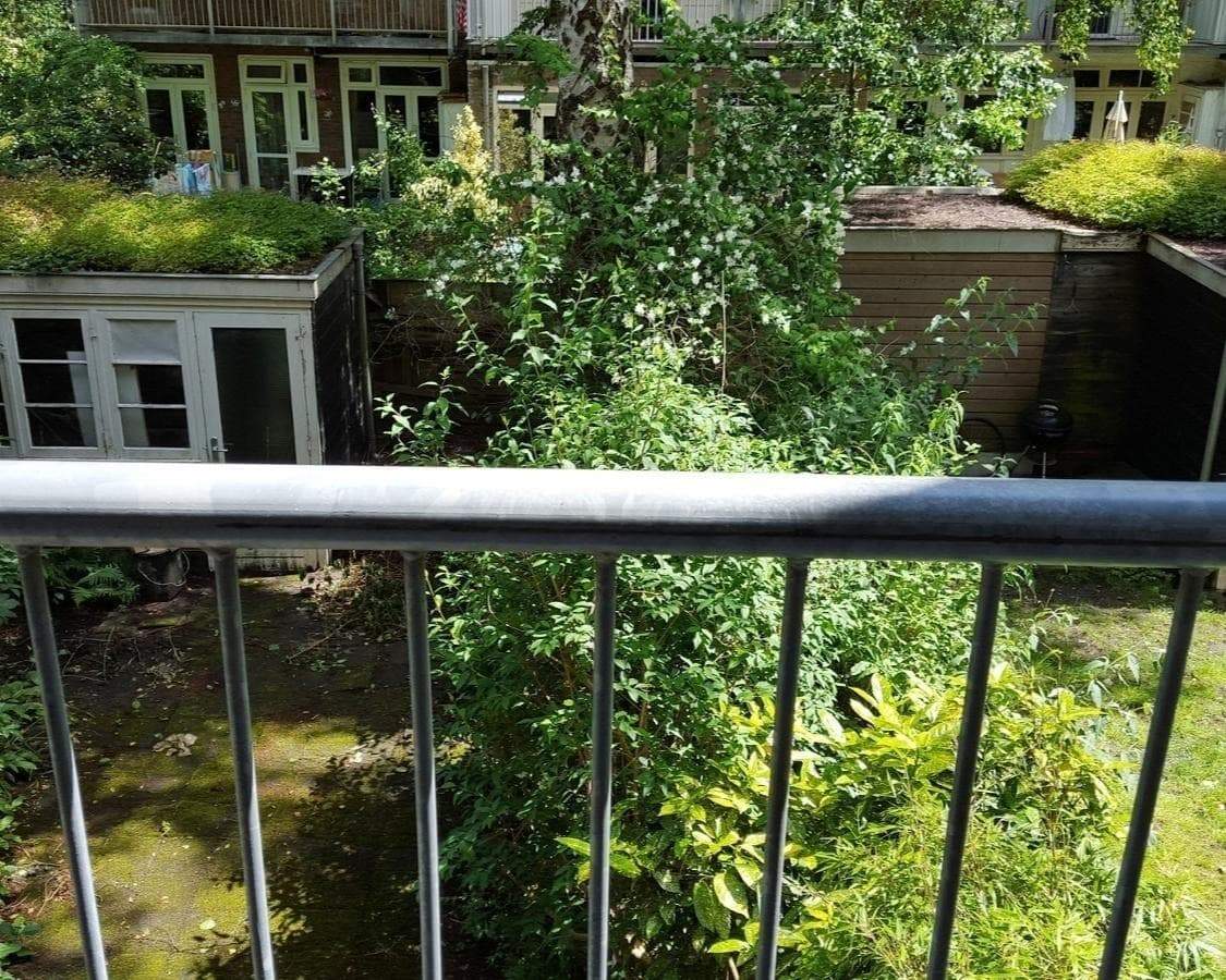 Bild 4 von 7