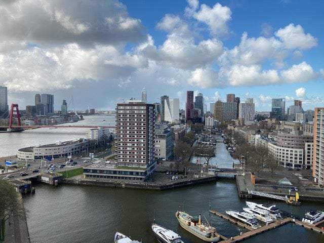 Image 1 of 19