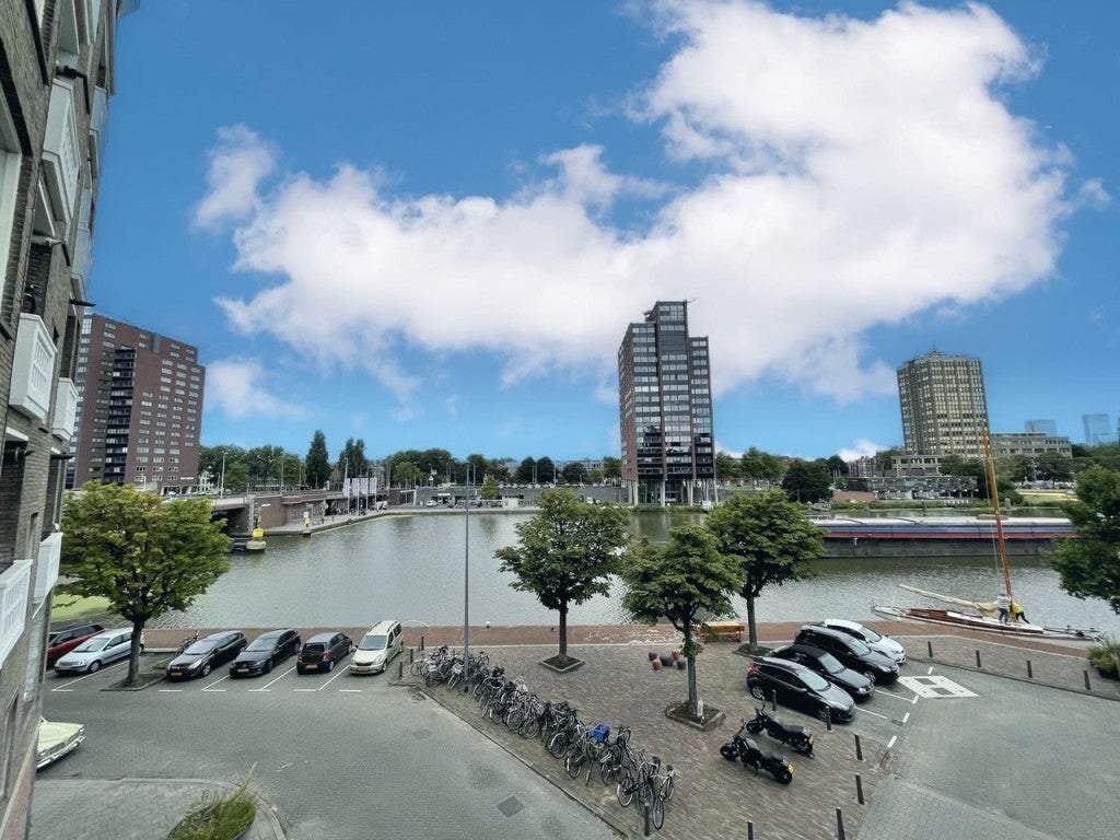 Afbeelding 1 van 35