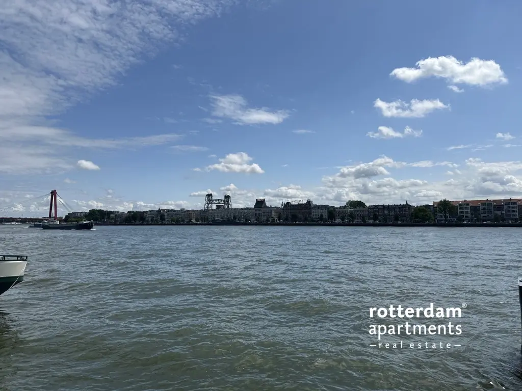 Image 19 of 19