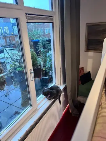 Gemeubileerde kamer Lutherse Burgwal, Den Haag - Te huur