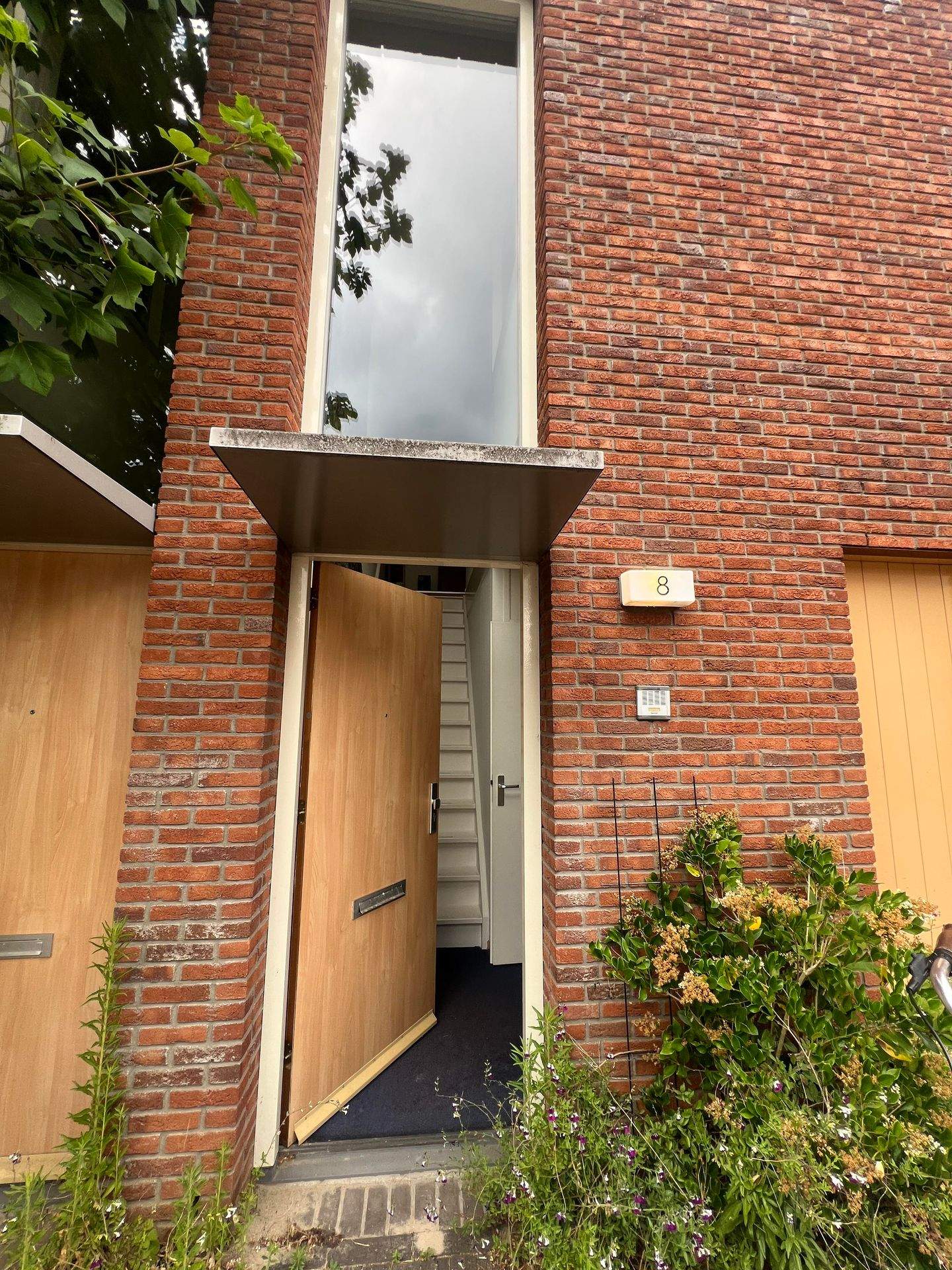 Image 2 of 12