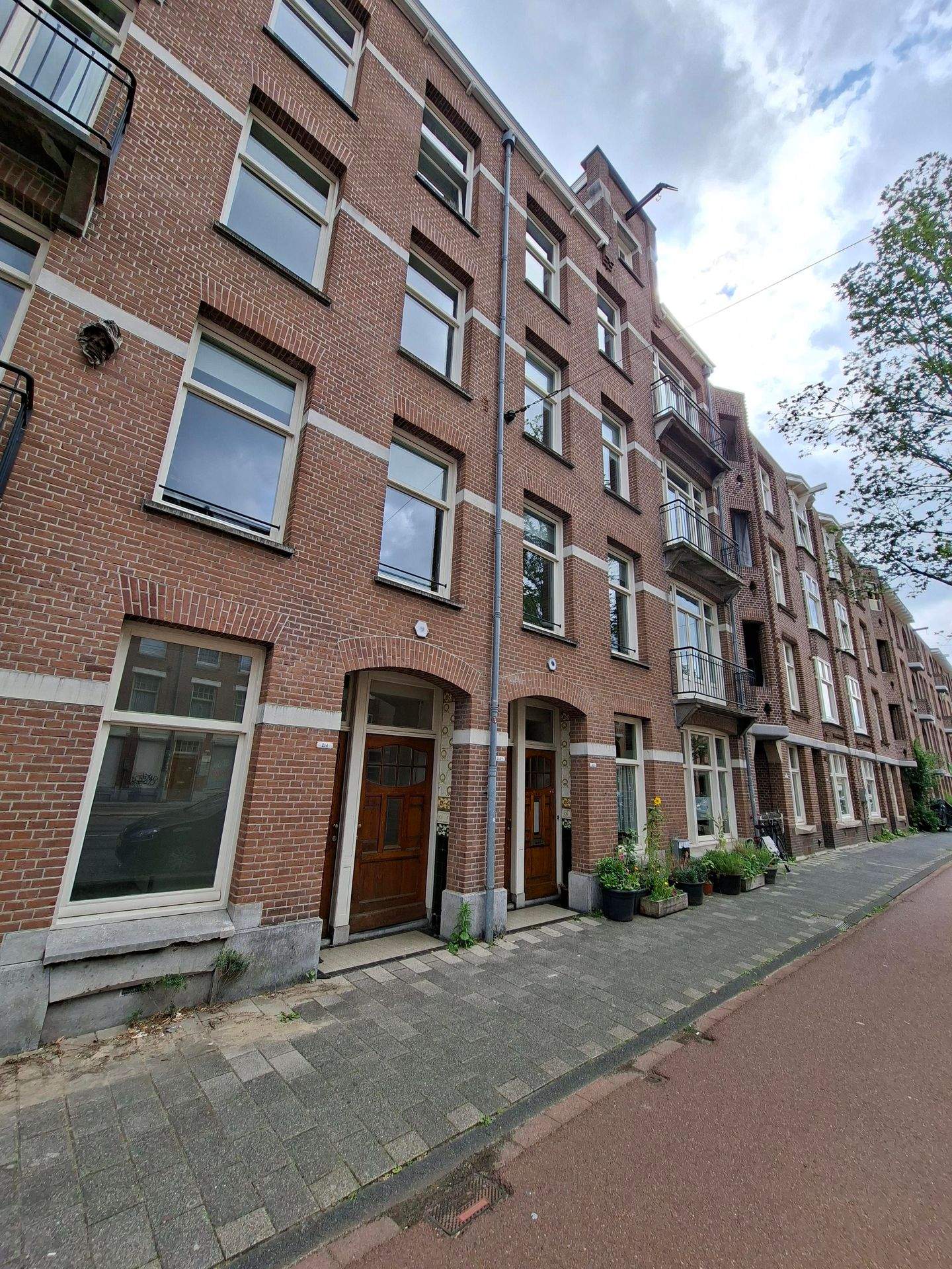 Afbeelding 1 van 12