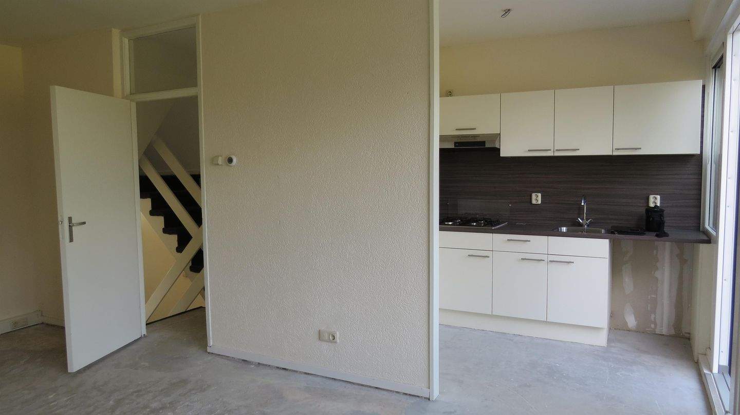 Bild 3 von 12