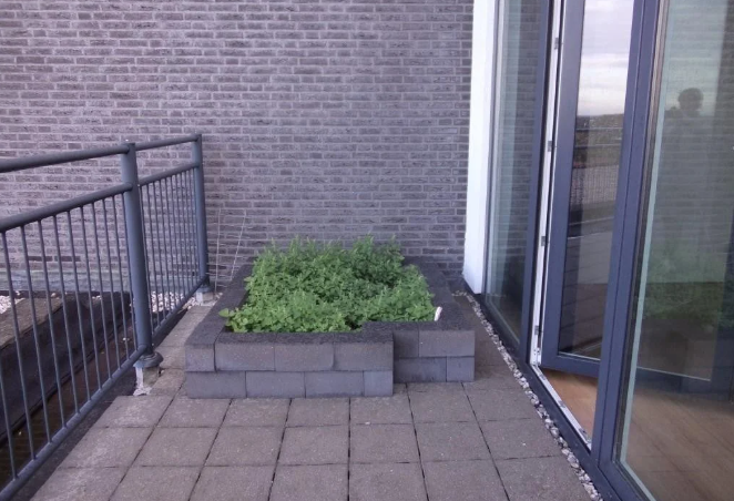 Afbeelding 2 van 10