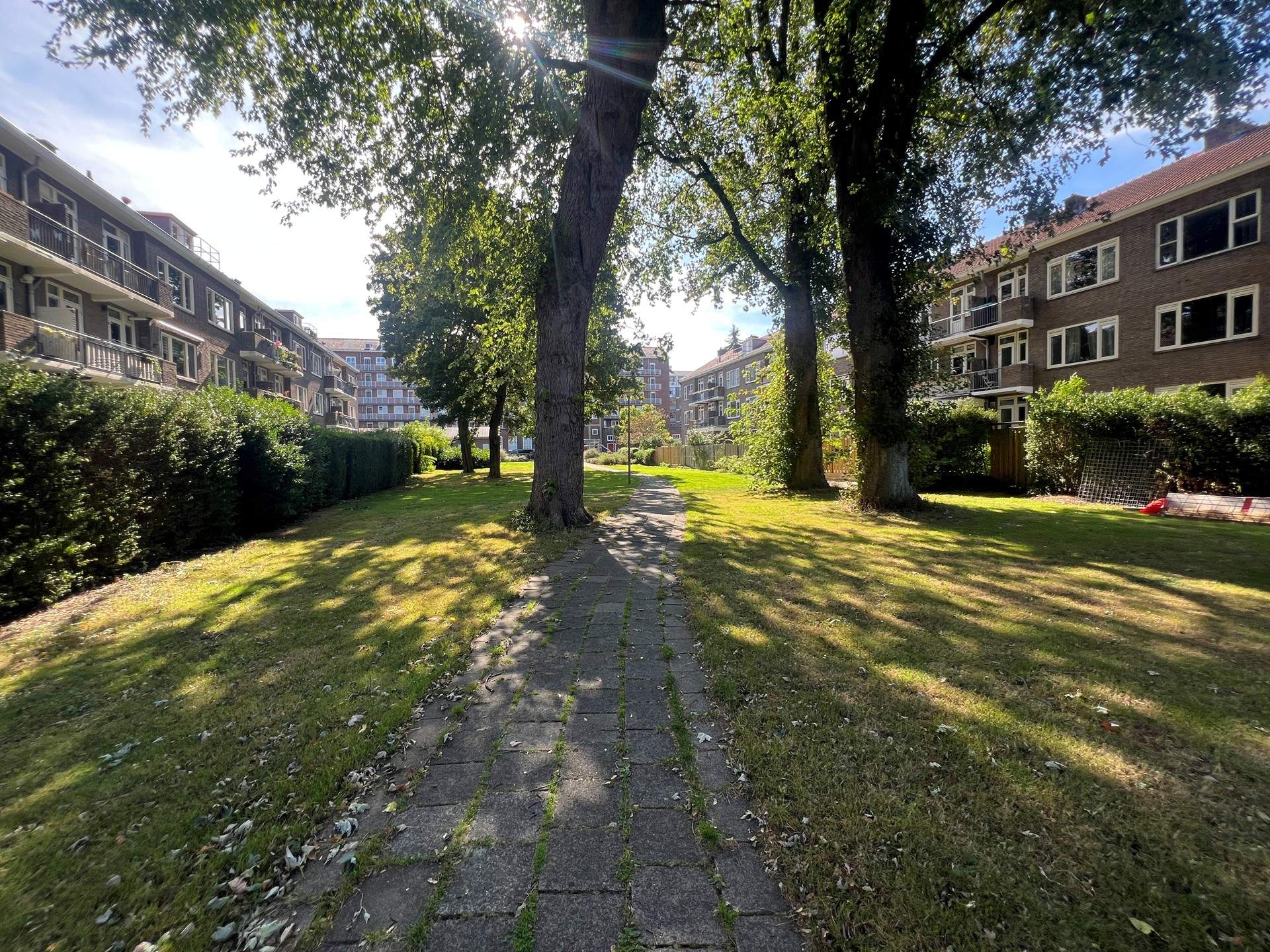 Afbeelding 29 van 31