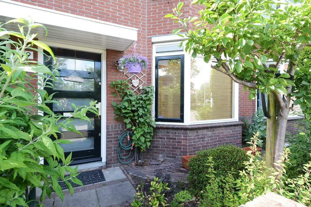 Afbeelding 3 van 12