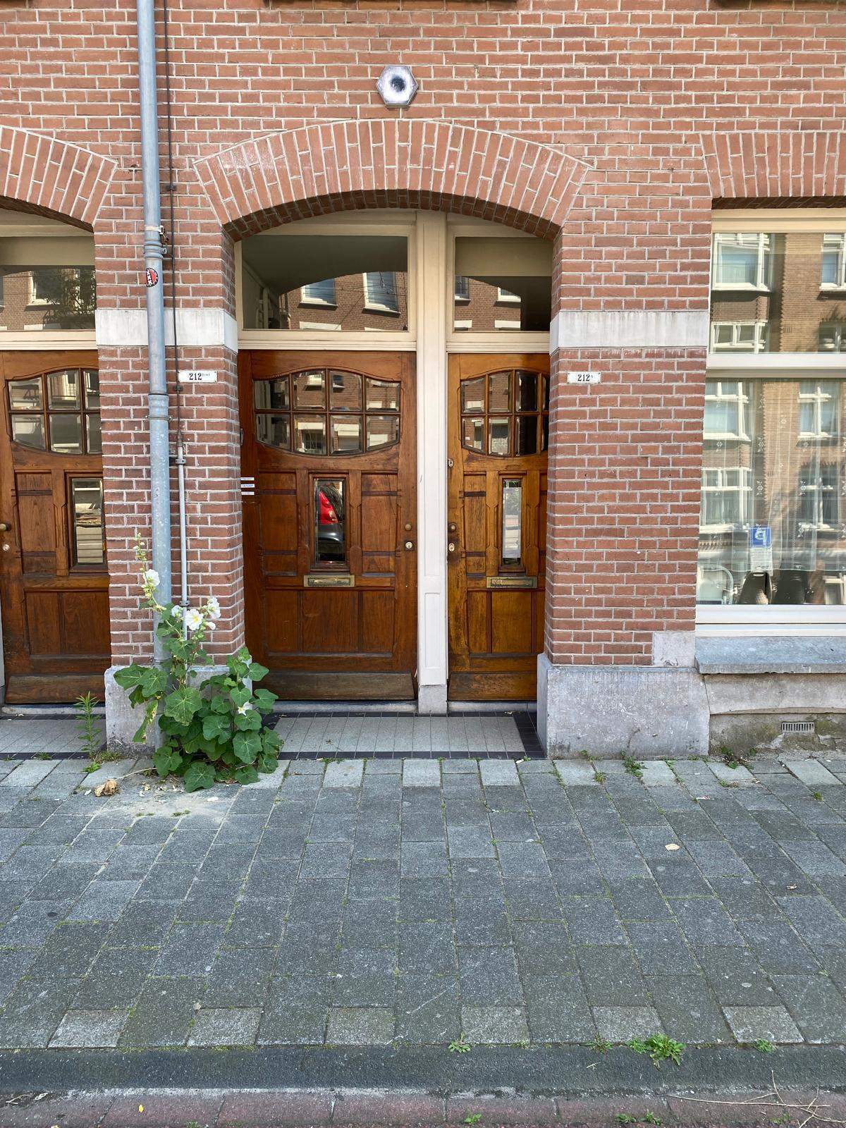 Afbeelding 2 van 15