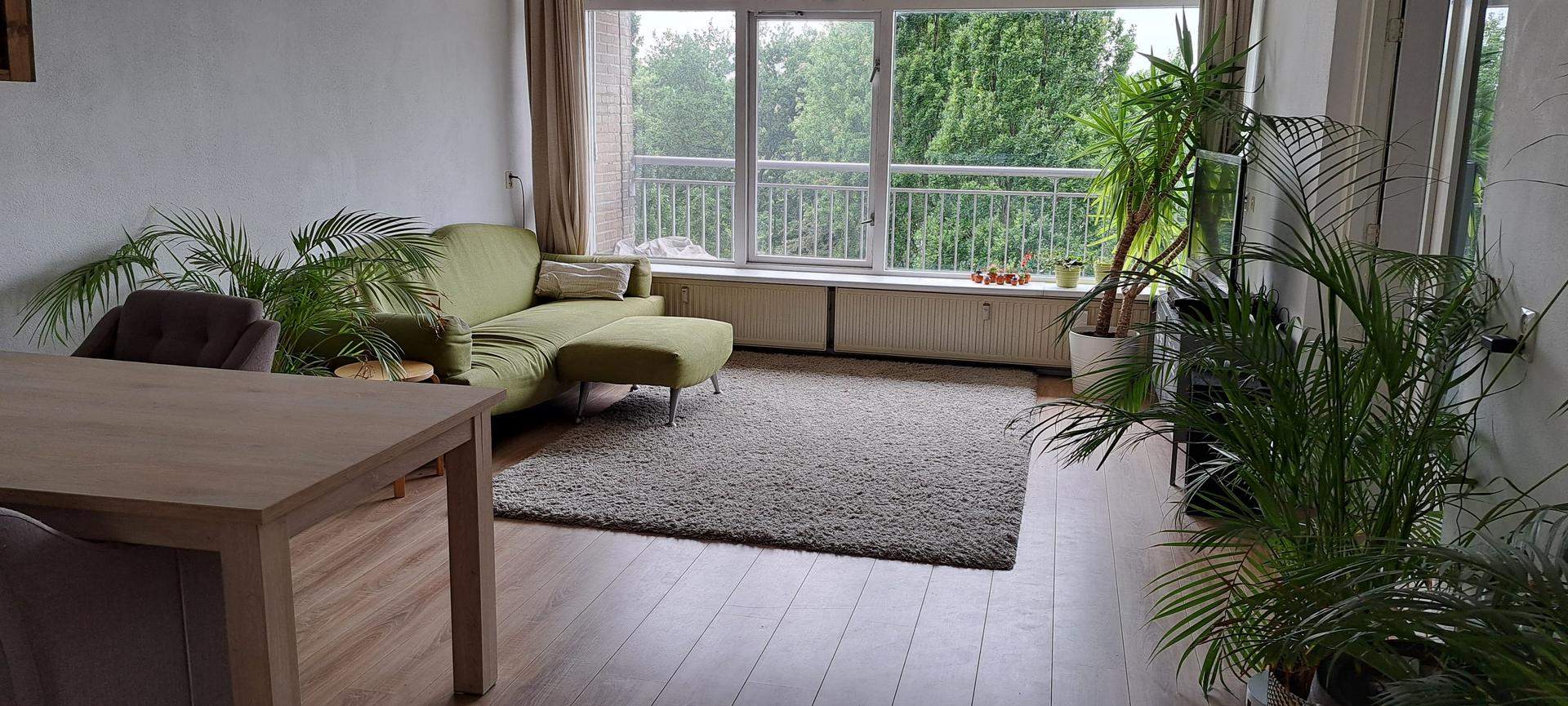 Bild 1 von 5