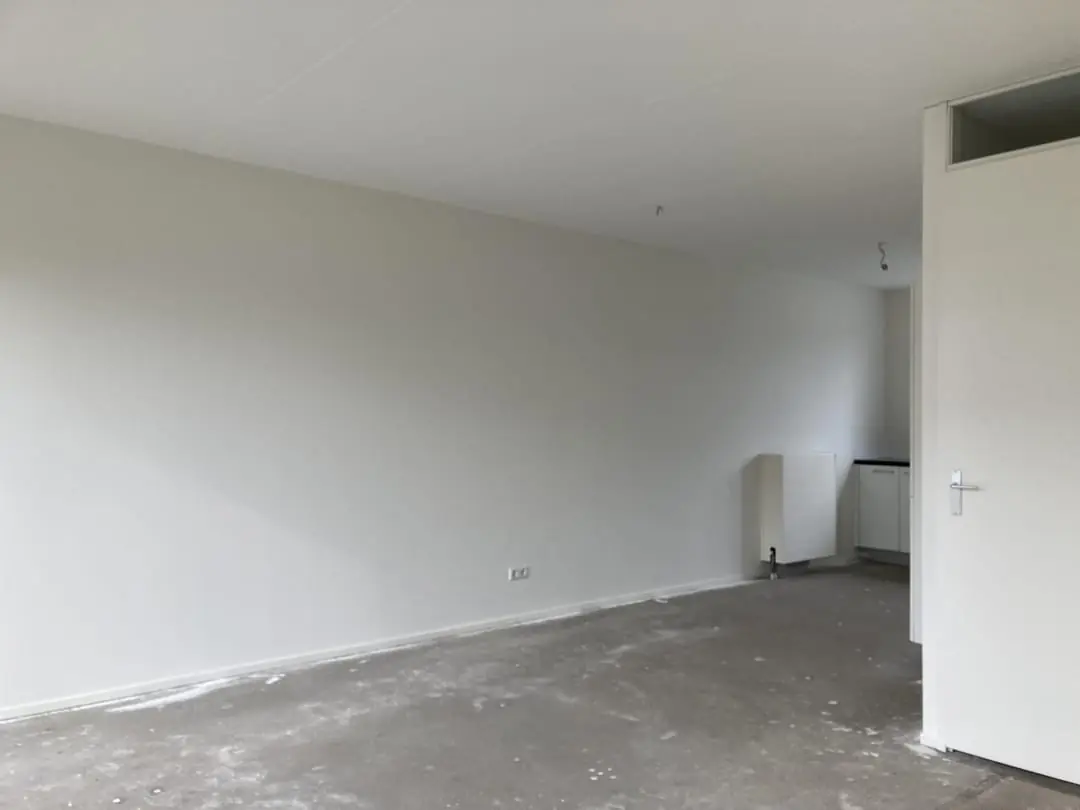 Image 8 of 22