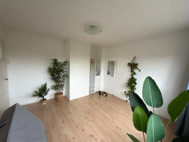 Image 5 of 6