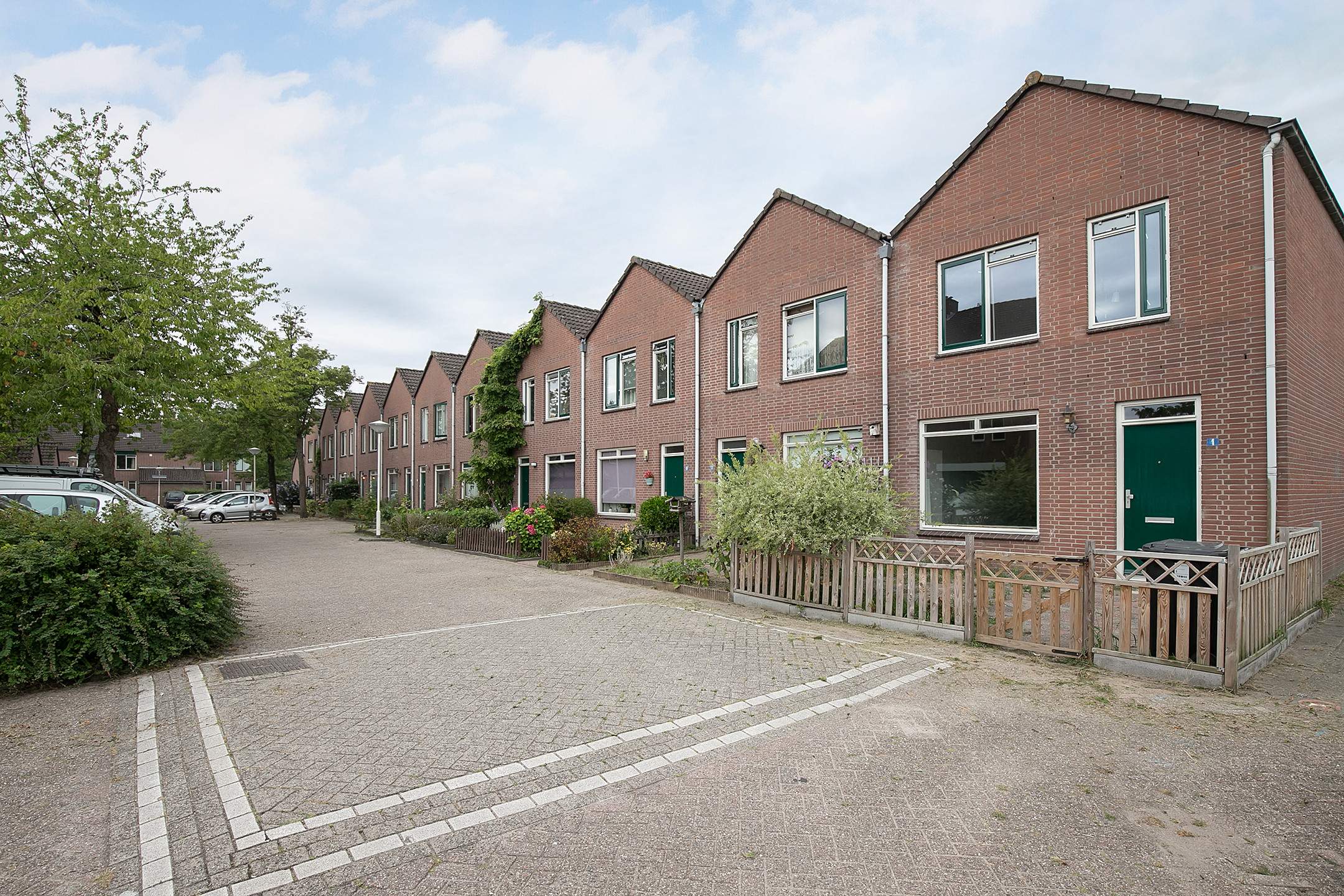 Afbeelding 1 van 1