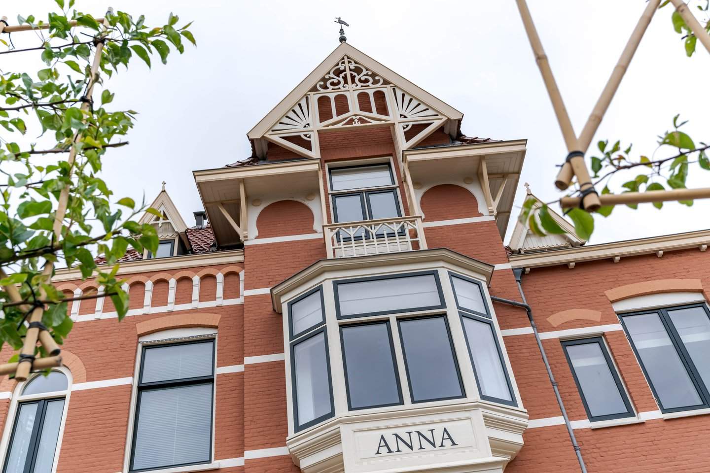 Afbeelding 1 van 12