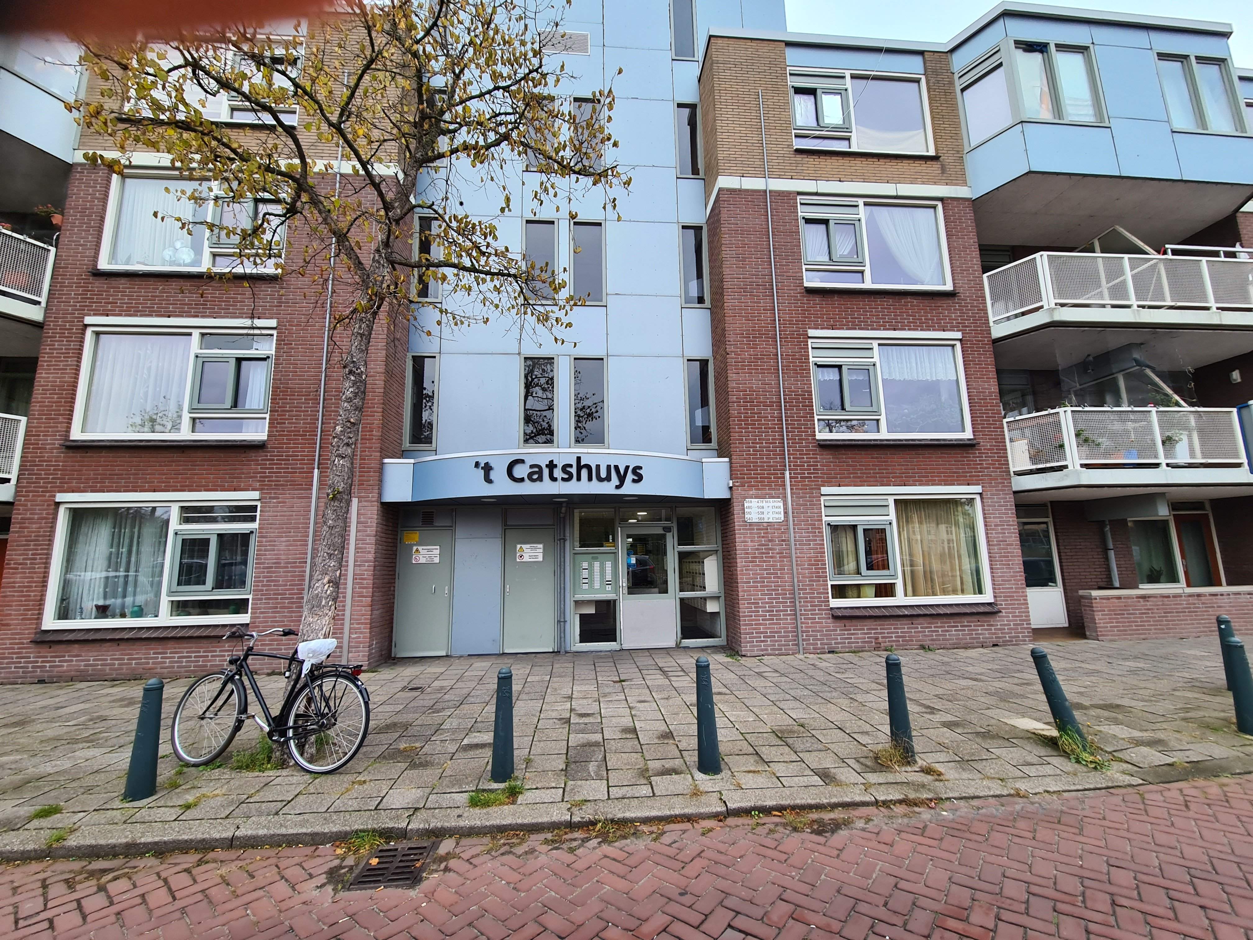 Afbeelding 2 van 20