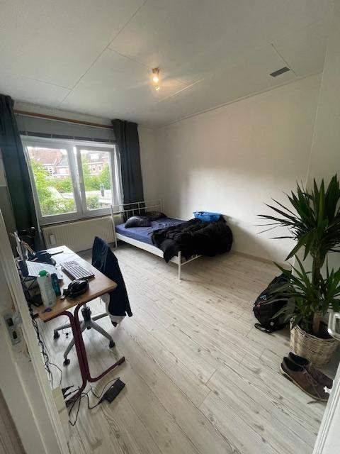 Bild 1 von 8