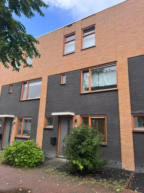 Image 2 of 11