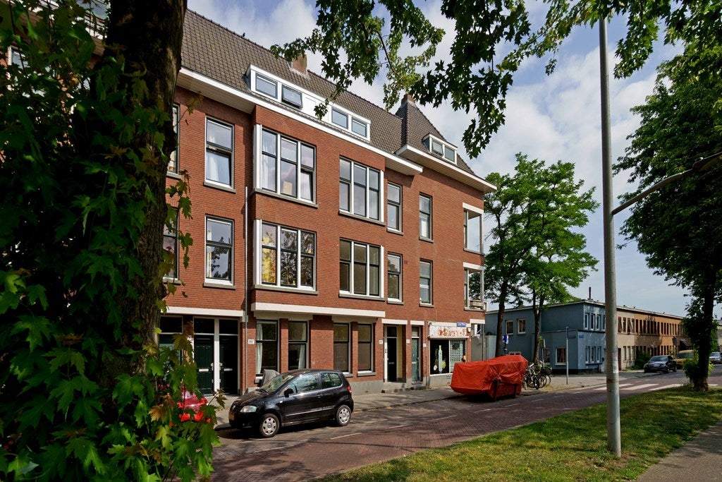 Afbeelding 1 van 14