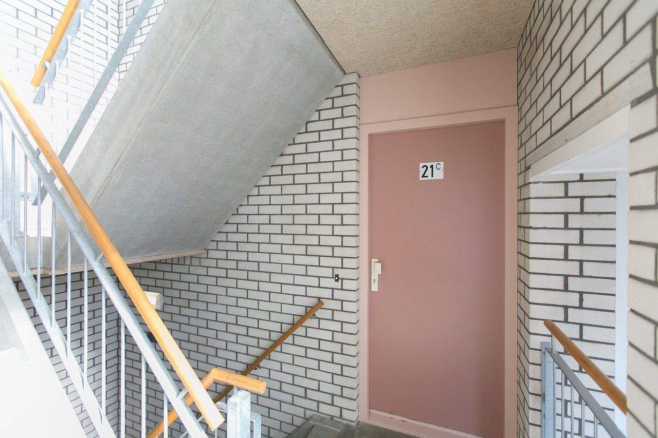 Afbeelding 6 van 23