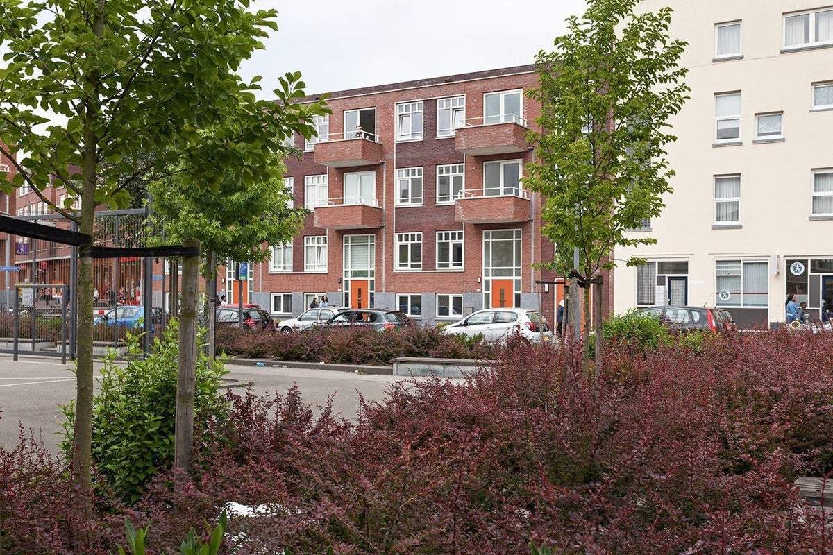 Afbeelding 1 van 31