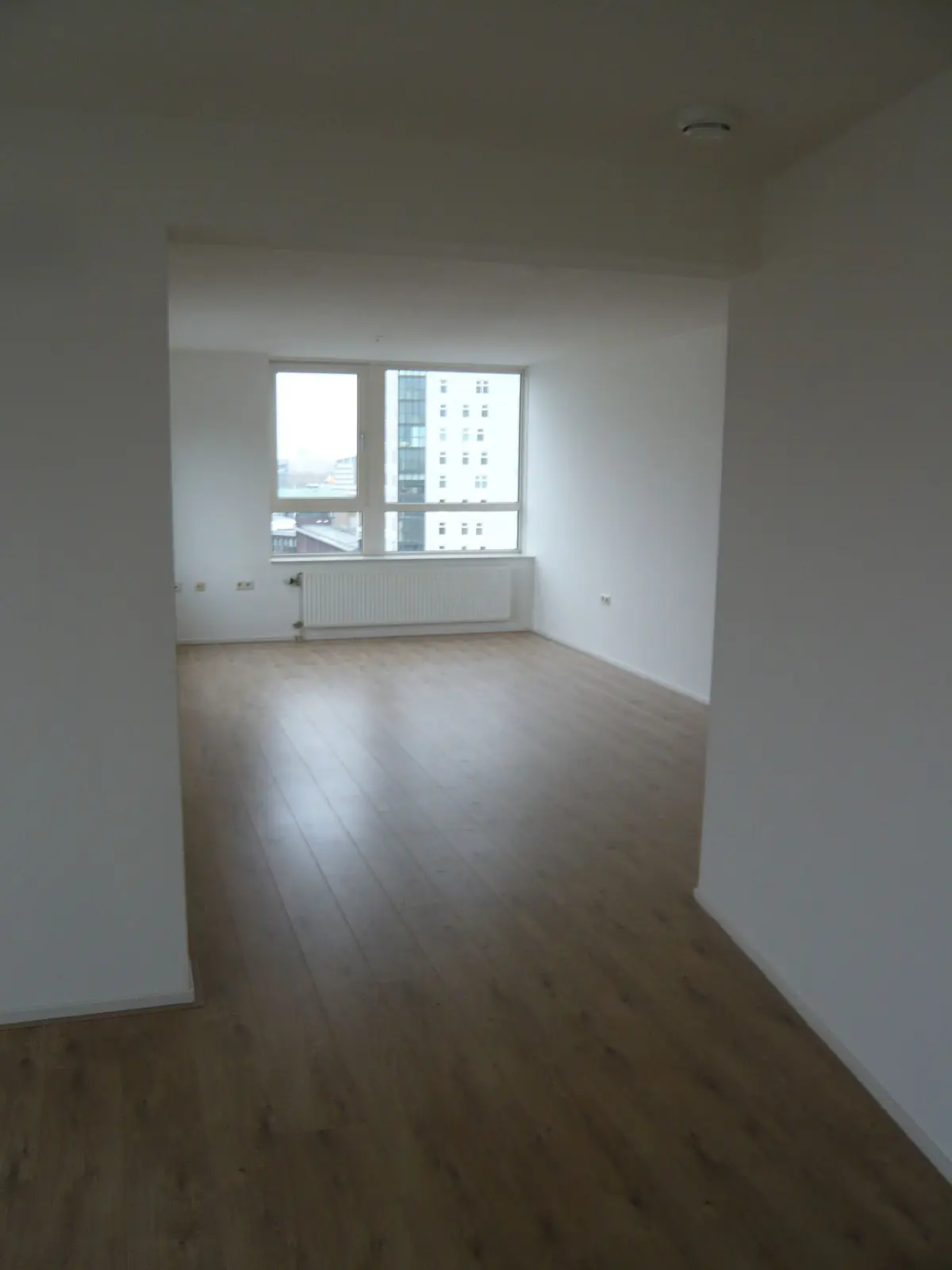 Bild 4 von 15