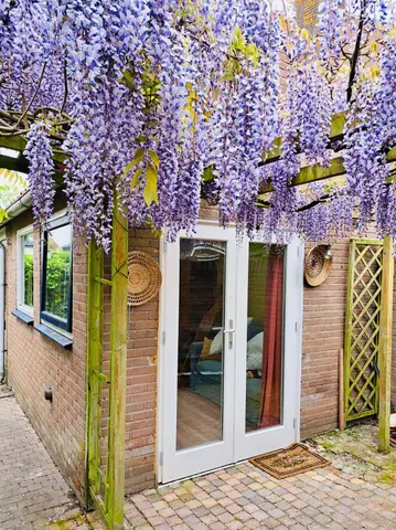 Studio meublé Banckertstraat, Middelburg - À louer