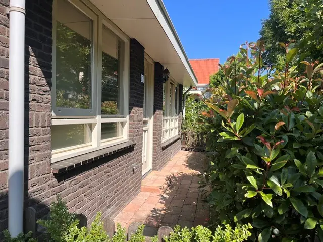 Afbeelding 1 van 20