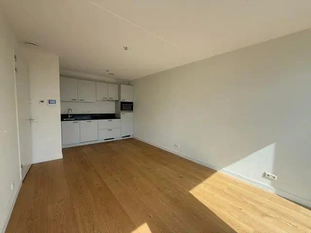 Image 6 of 15