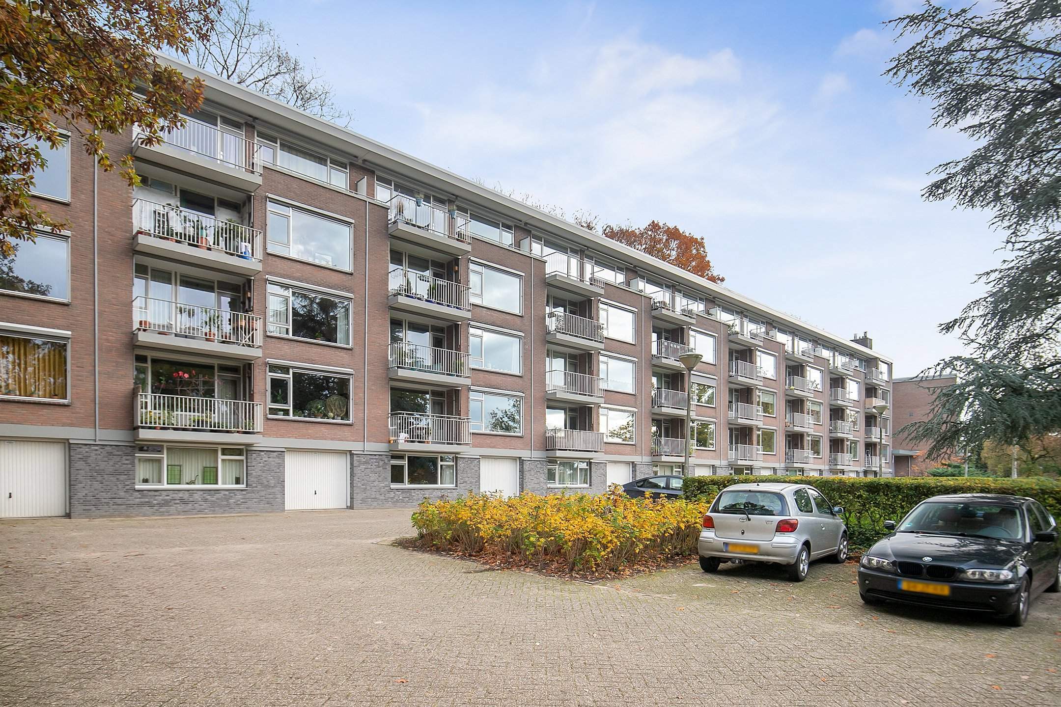 Afbeelding 19 van 25