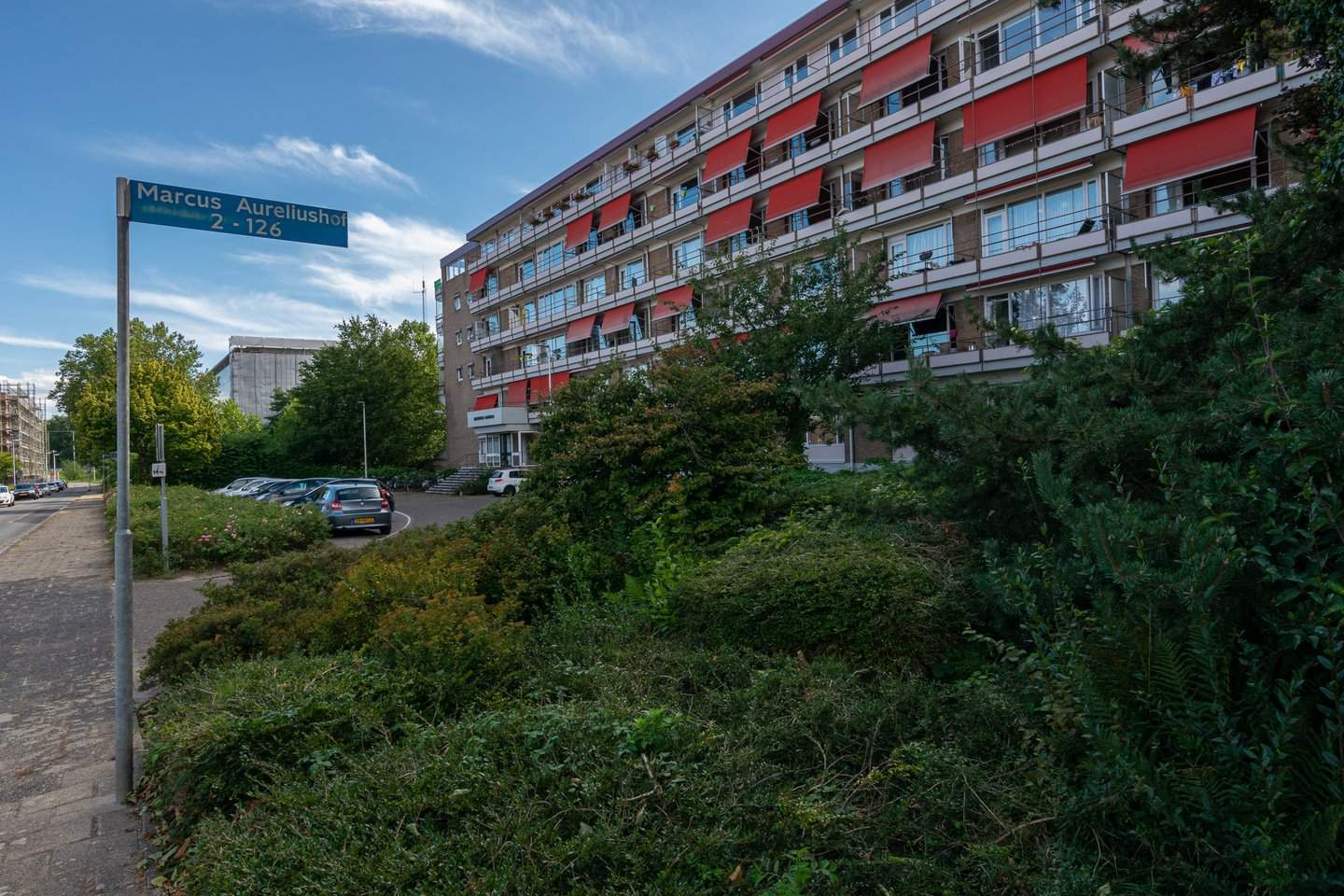 Image 2 sur 12