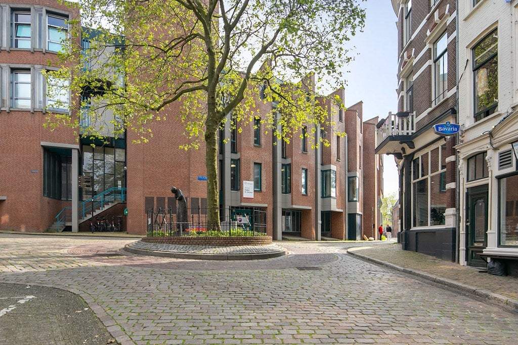 Afbeelding 12 van 15
