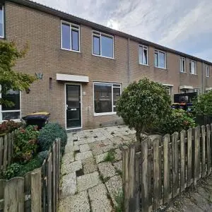 Afbeelding 1 van 8
